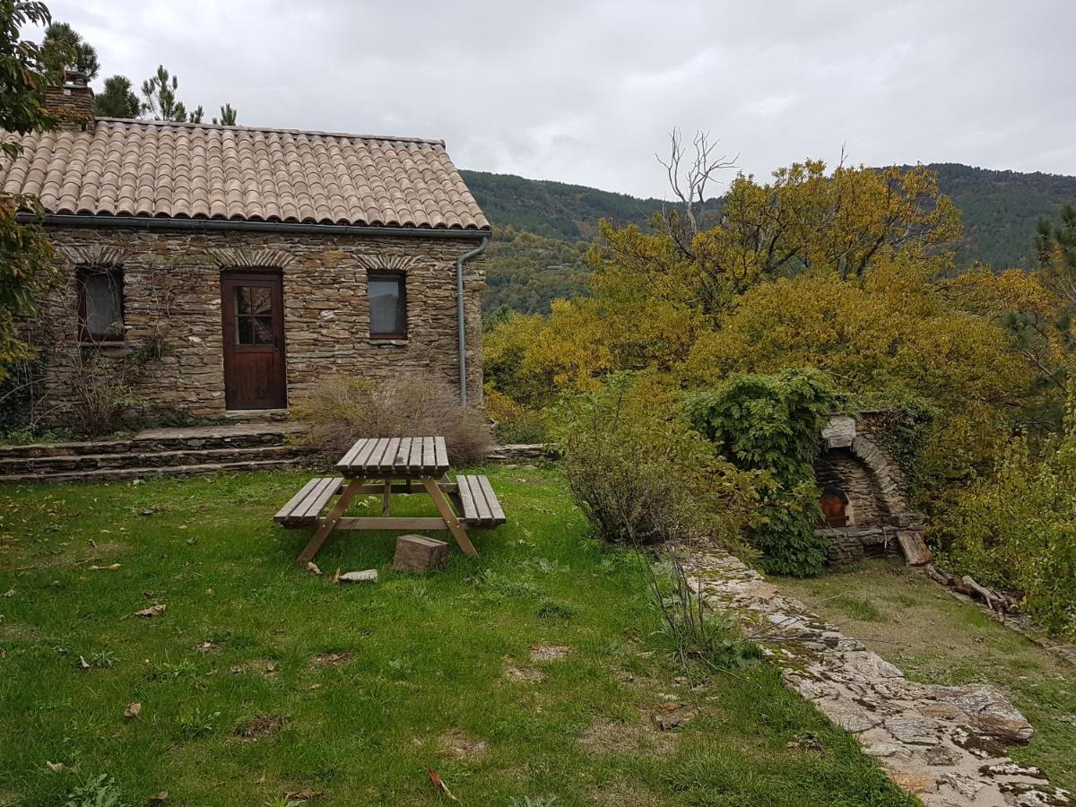 Le Mercou En Cevennes Saint-Martin-de-Boubaux Kültér fotó