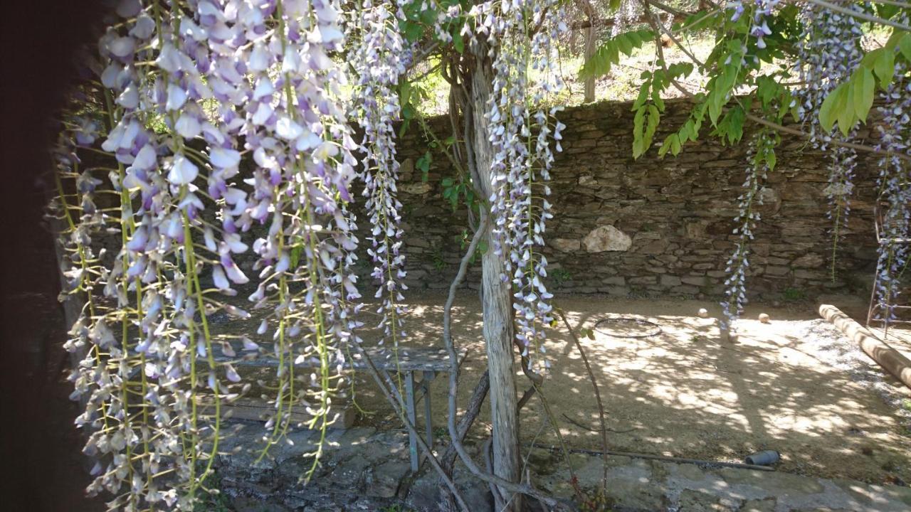 Le Mercou En Cevennes Saint-Martin-de-Boubaux Kültér fotó
