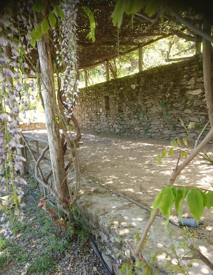 Le Mercou En Cevennes Saint-Martin-de-Boubaux Kültér fotó
