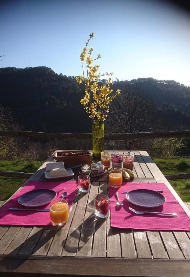 Le Mercou En Cevennes Saint-Martin-de-Boubaux Kültér fotó